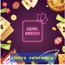 clinica veterinaria cuidar betim