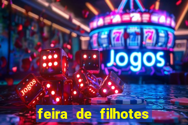 feira de filhotes porto alegre