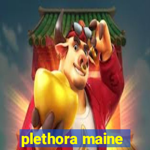 plethora maine