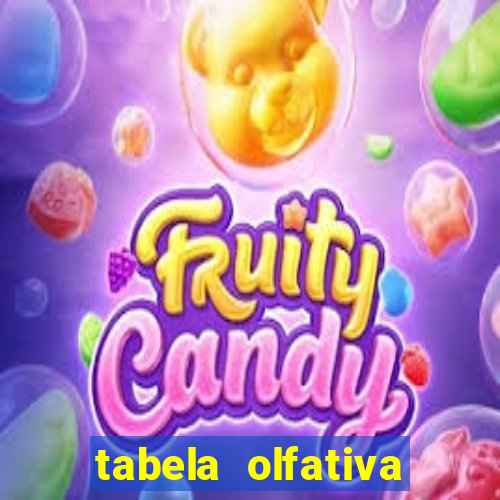 tabela olfativa amei cosméticos