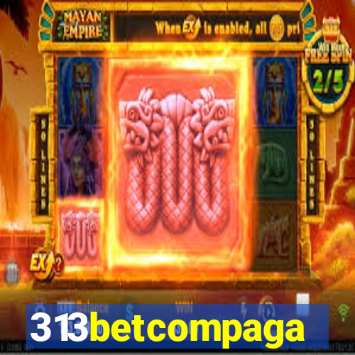 313betcompaga