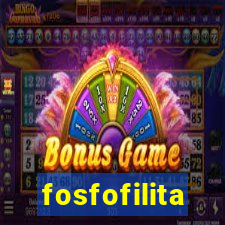 fosfofilita