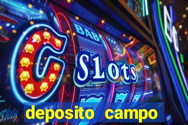 deposito campo grande santos